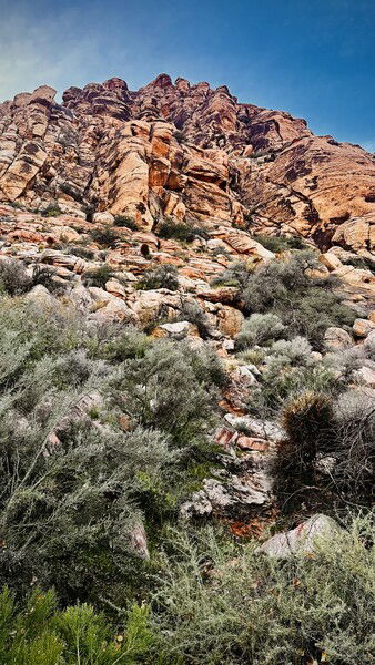 Looking up from Red Spring