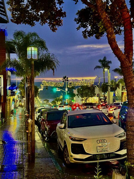 Seasons Greetings from Manhattan Beach, CA