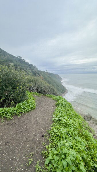Overlooking Bluff Cove