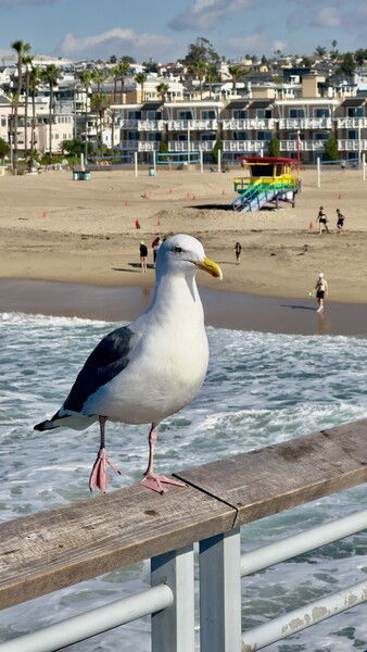 Irving doing a balancing act. 