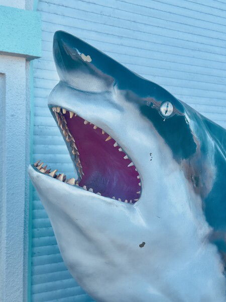 Manny greets us at the aquarium