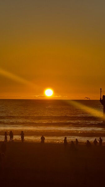 🎶 It's the edge of the world, end all of western civilization
The Sun may rise in the East, at least it's settled in the final location 🎶