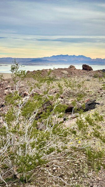 A beautiful morning walk with great company is an excellent way to start the day.