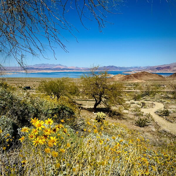 A view of the Boulder Basin of Lake Mead and surrounding area