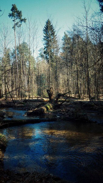 Off track and hidden from view.