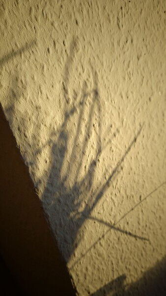 Same sun different day.