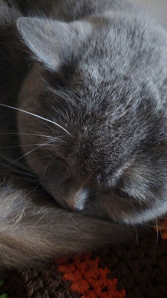 Resting. Slow afternoon. 