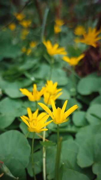 Different hour different mood same colours. 