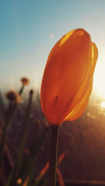 Sunrise daybreak and the warmth in moments.