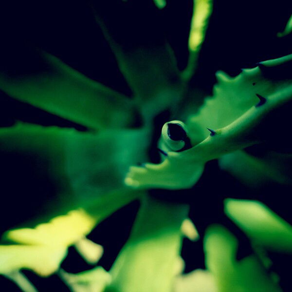 Can you feel ... a little love?