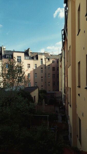 Neighbourhoods and that love for backyards. 