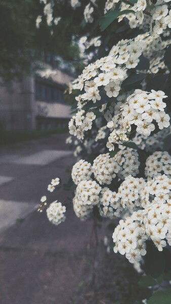 Countering the grey.