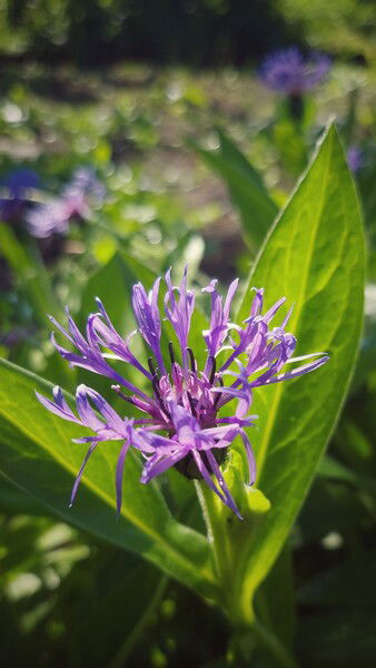 The silence out there. 