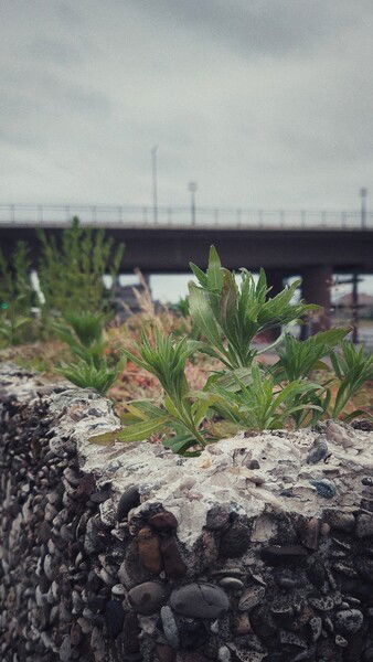 Different shades of light and clouds.