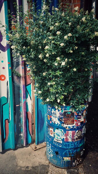 Green is where you find it.