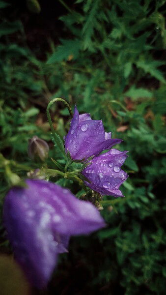 Some rain and some fragmented light.