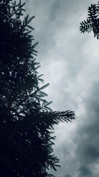 Waiting for the rain. 