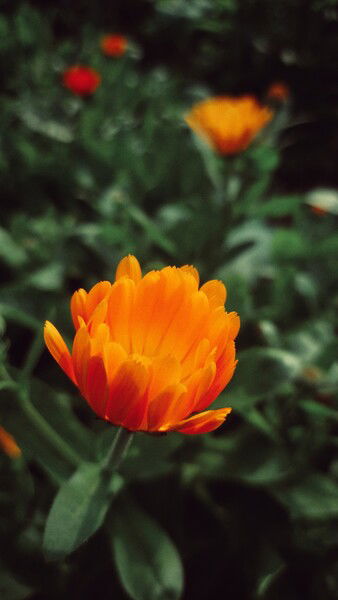 That time of year again, these weeks close to summer.