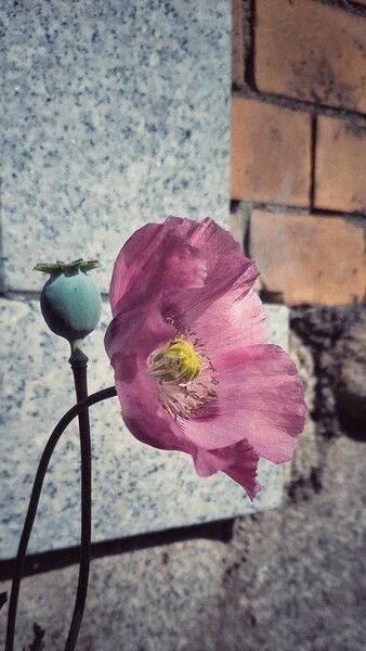 Old places old thoughts. 