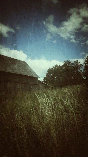 The village and its summers.