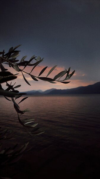 The evening and its lights.