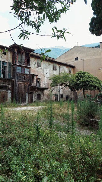 Backyards. Dreaming places. Options.