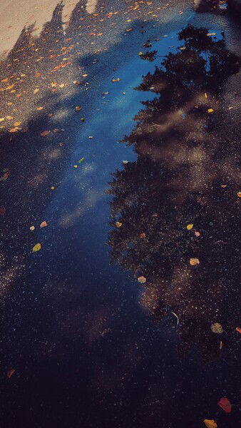 Different kinds of colours.