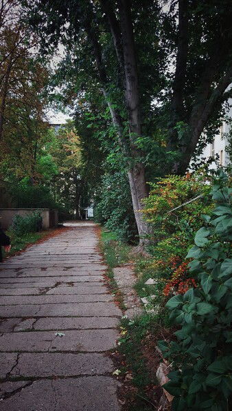 Before the weathers. 