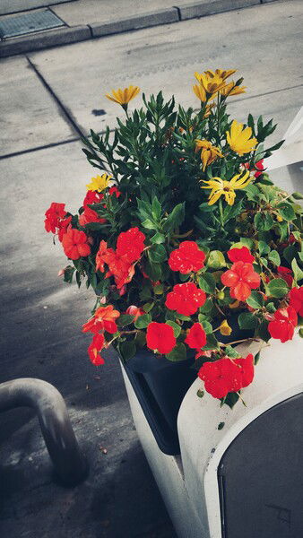 A little light still.