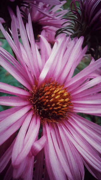 The colours left behind. 