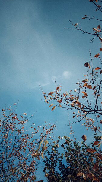 The lights of a passing year.