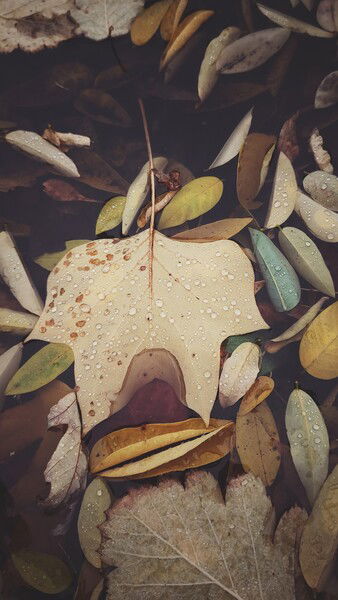 Close to ground close to water.