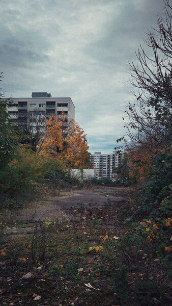 Elsewhere and off the common tracks.