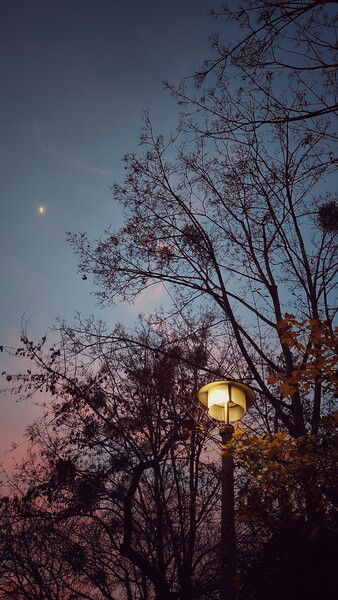 Different kinds of light.