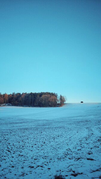 Where our noises hide.