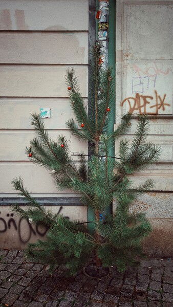 Finding calm where it's least expected. 