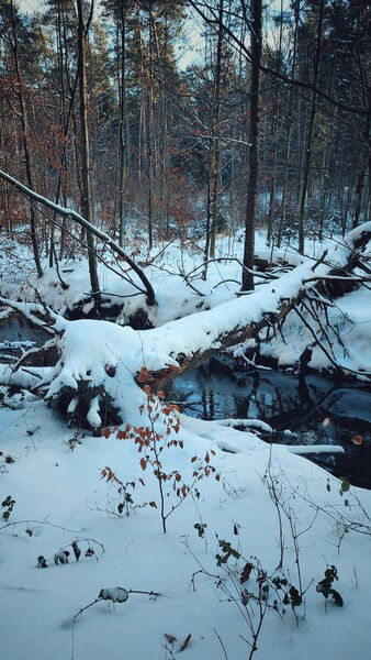 The flow and the winter. 